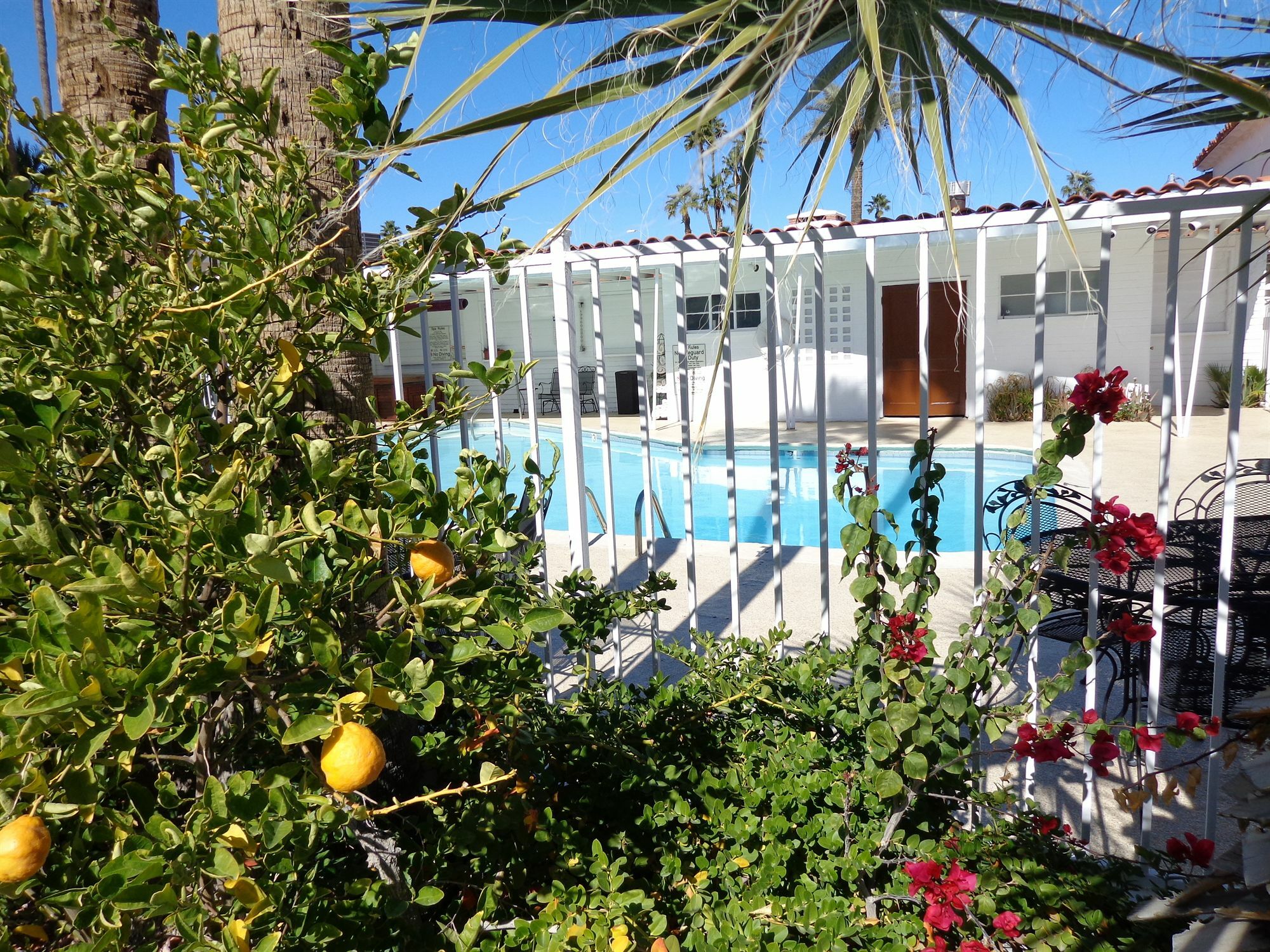 Historic Coronado Motor Hotel By Oyo Yuma Eksteriør bilde